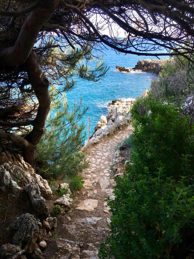 Artistic Antibes Apartment ภายนอก รูปภาพ