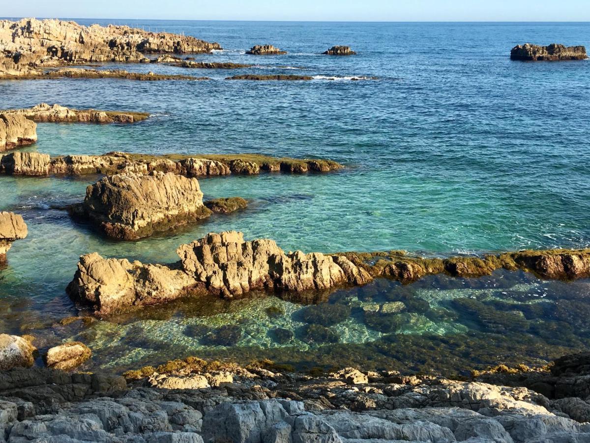 Artistic Antibes Apartment ภายนอก รูปภาพ